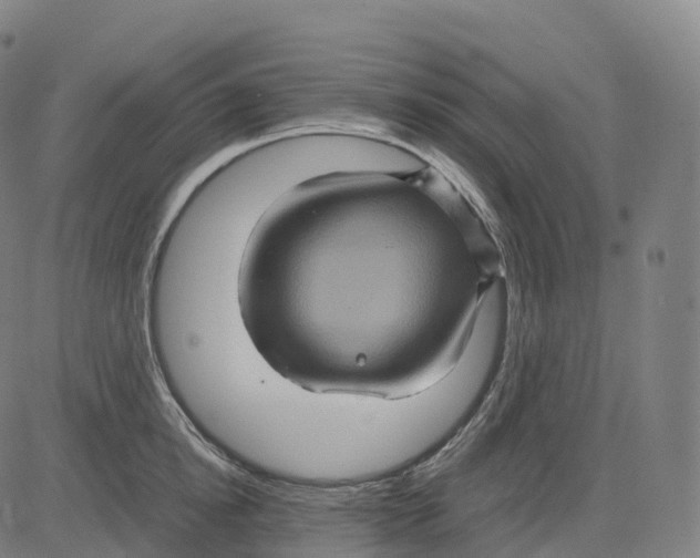 X0000083640854200703121718