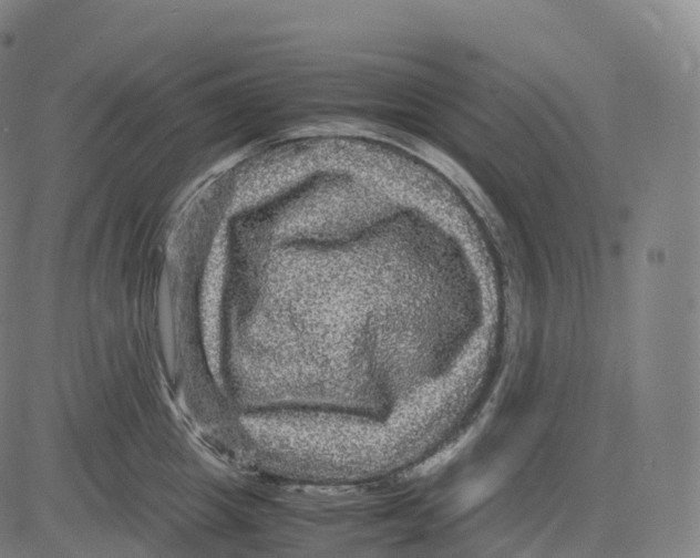 X0000083640857200703121718