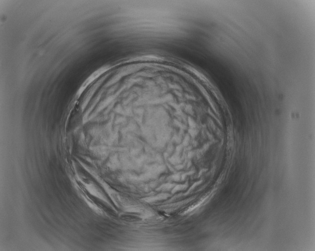 X0000083640858200703121718