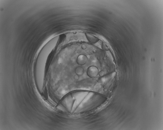 X0000083640859200703121718