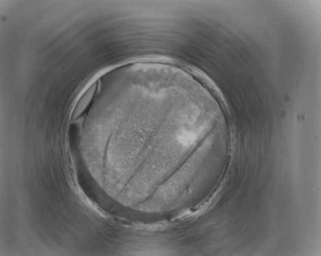 X0000083640860200703121718