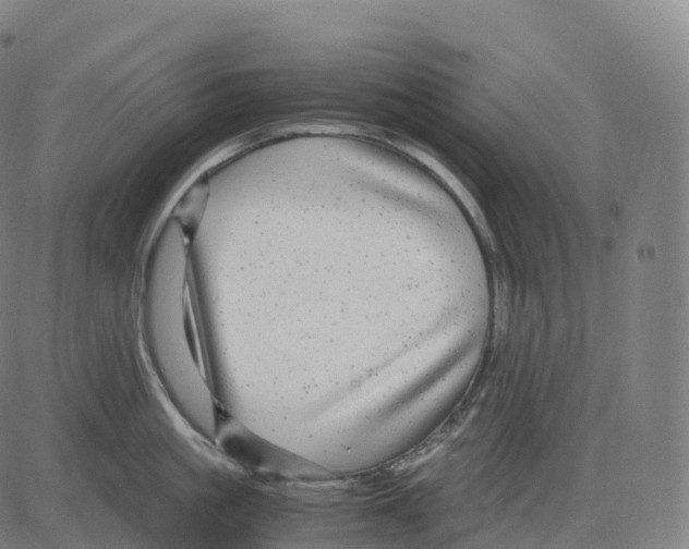 X0000083640861200703121718