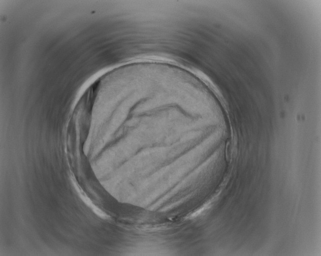 X0000083640862200703121718