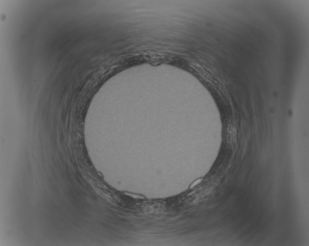 X0000083640865200703121717