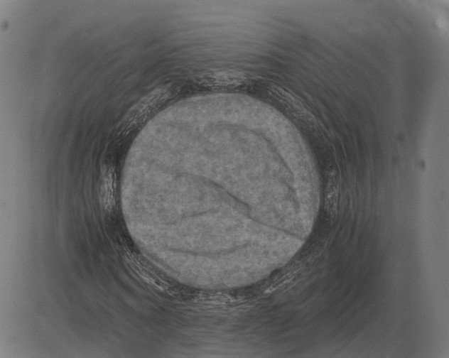 X0000083640866200703121717