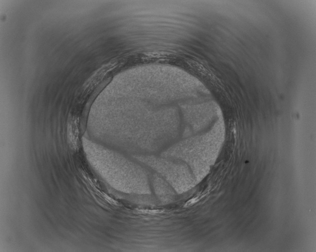 X0000083640868200703121717