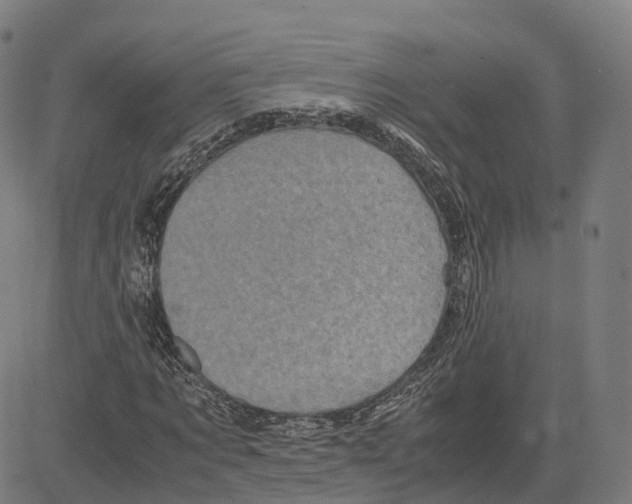 X0000083640869200703121717