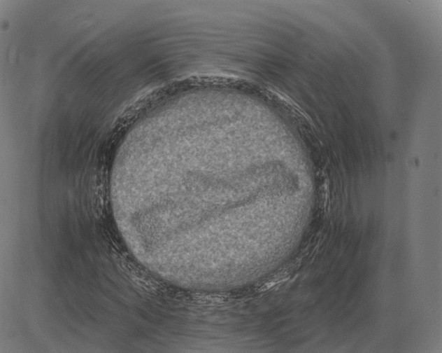 X0000083640870200703121717