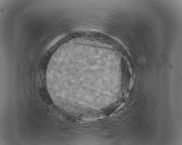 X0000083640871200703121717