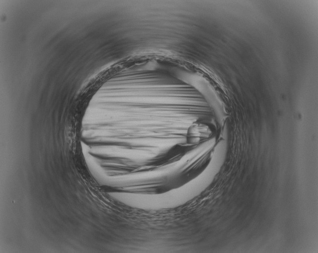 X0000083640872200703121717