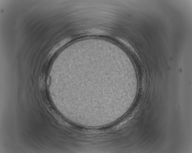 X0000083640873200703121717