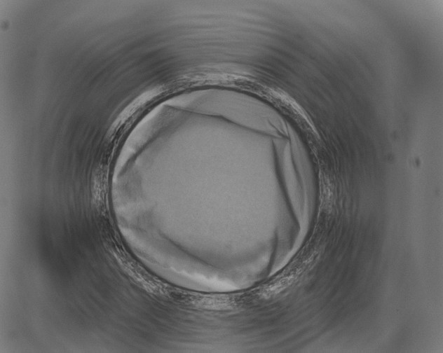 X0000083640874200703121717