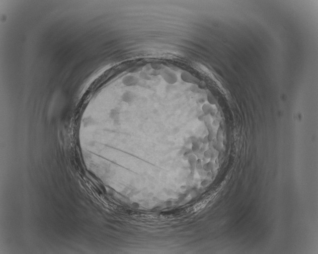 X0000083640875200703121717