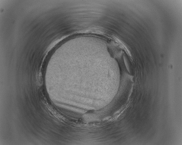 X0000083640876200703121717