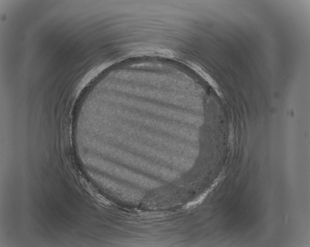 X0000083640877200703121717