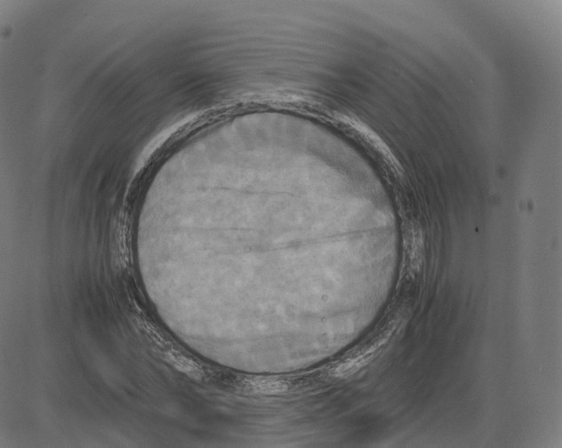 X0000083640878200703121717