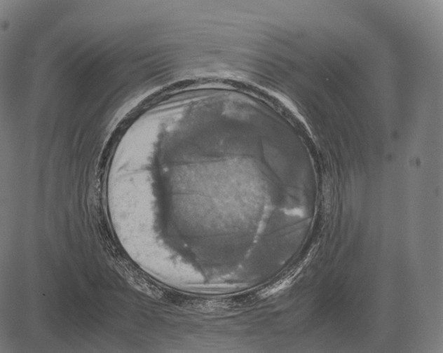 X0000083640879200703121717