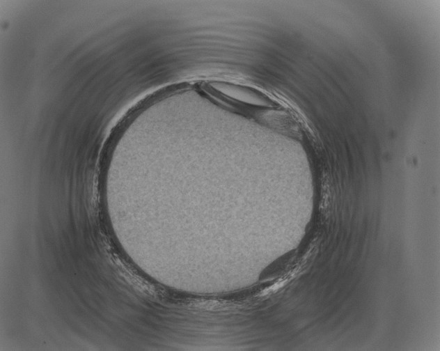 X0000083640880200703121717