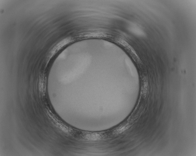 X0000083640882200703121717