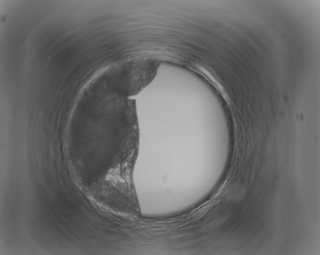 X0000083640883200703121717