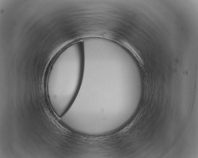 X0000083640884200703121717