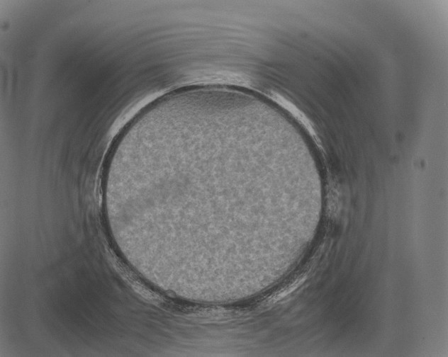 X0000083640885200703121717