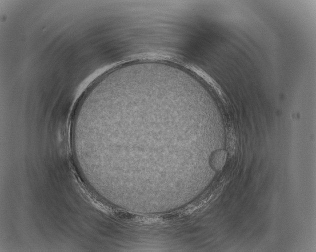 X0000083640886200703121717