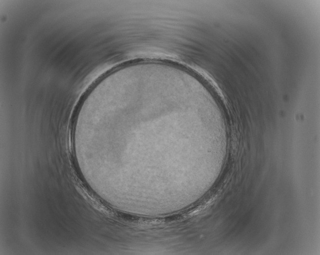 X0000083640887200703121717