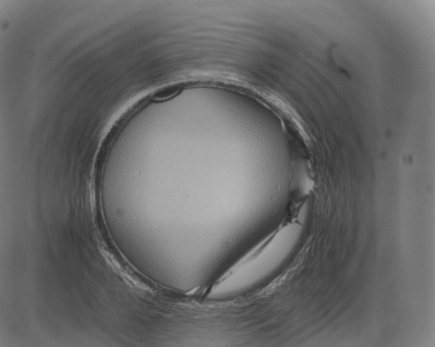 X0000083640888200703121717