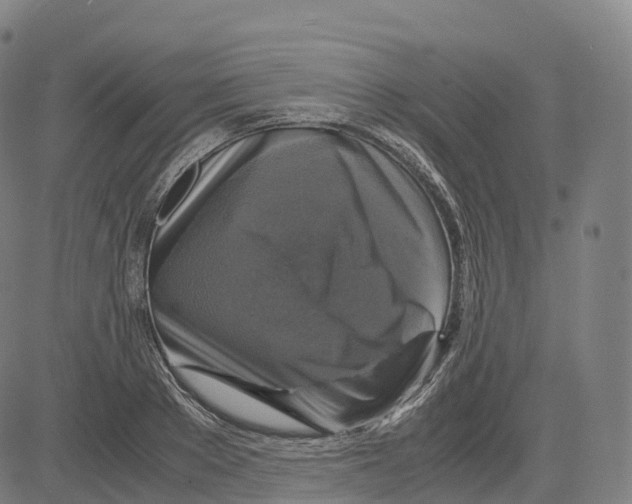 X0000083640889200703121717