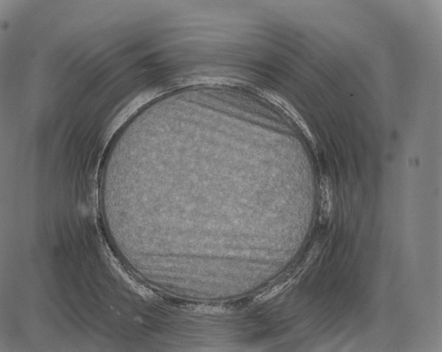 X0000083640890200703121717