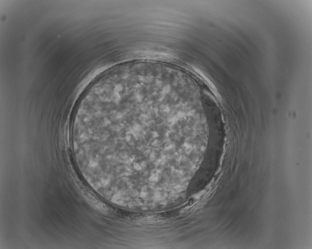 X0000083640891200703121717