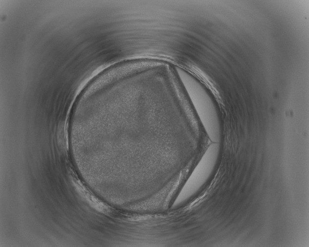 X0000083640892200703121717