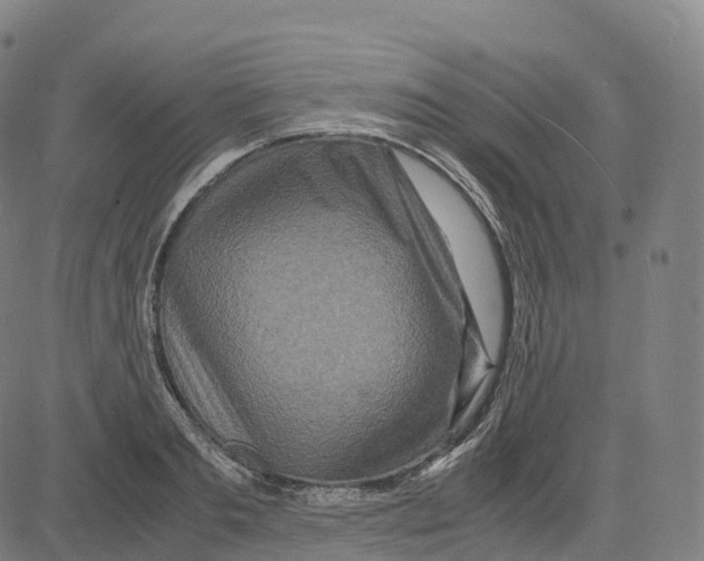 X0000083640893200703121717