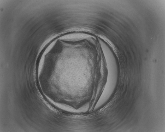 X0000083640894200703121717