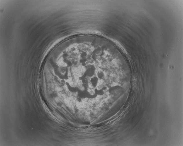 X0000083640895200703121716