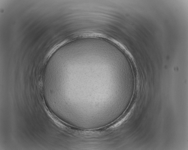 X0000083640897200703121716