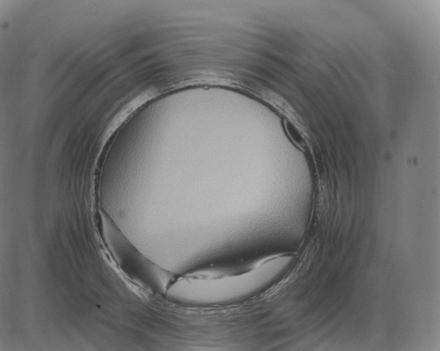 X0000083640898200703121716