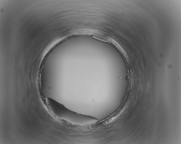 X0000083640901200703121716