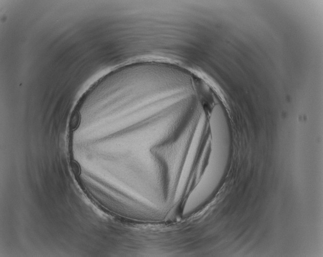 X0000083640902200703121716