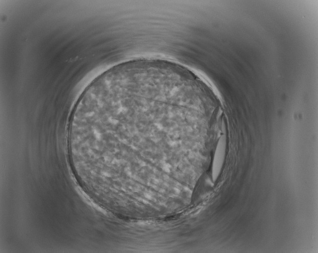 X0000083640903200703121716