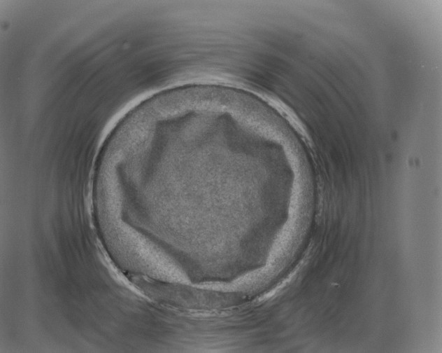 X0000083640904200703121716