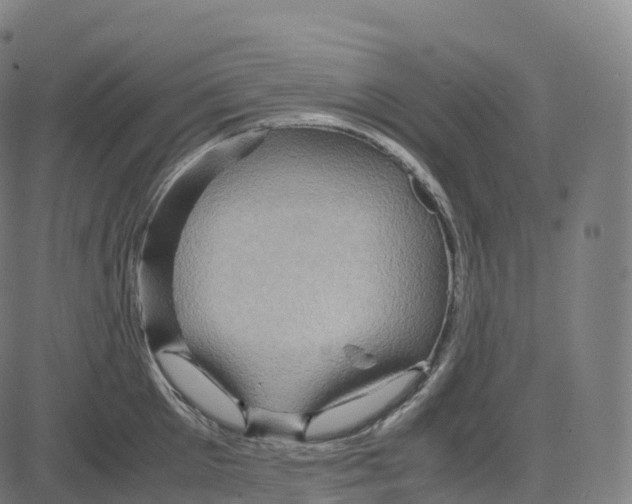 X0000083640905200703121716