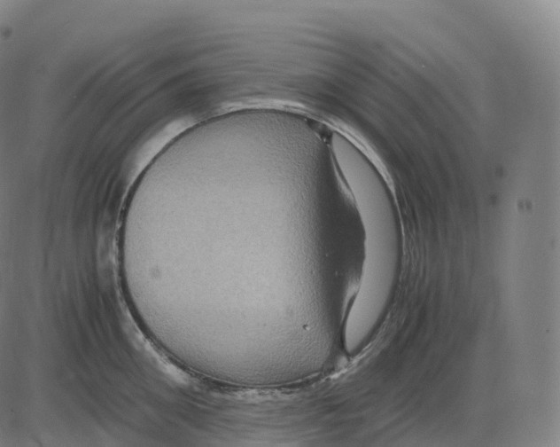 X0000083640906200703121716