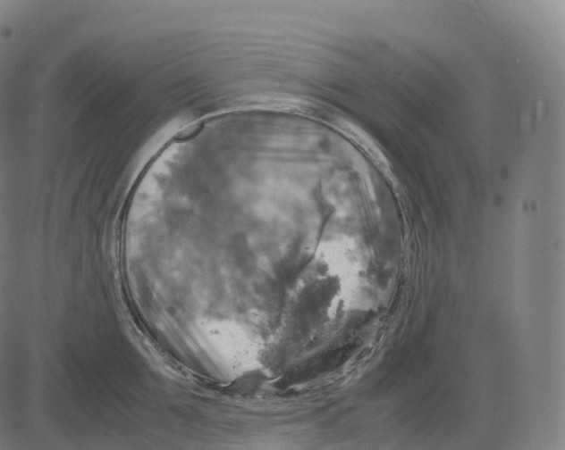 X0000083640907200703121716