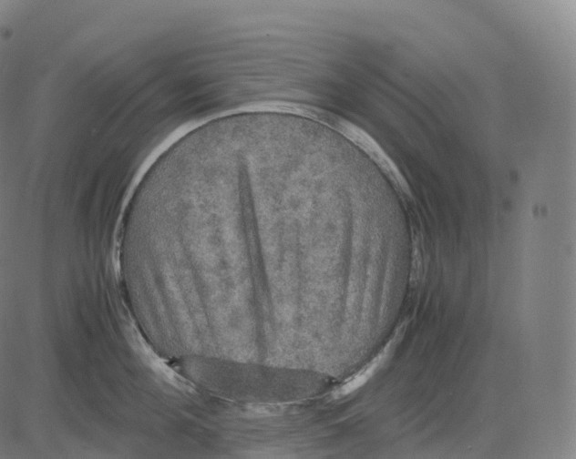 X0000083640908200703121716