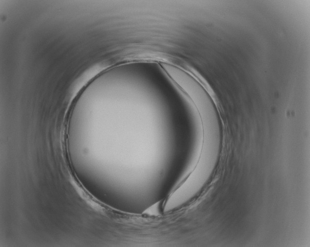 X0000083640909200703121716