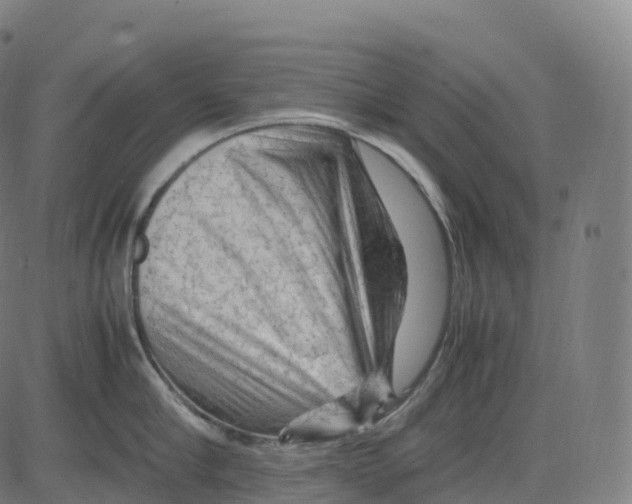 X0000083640910200703121716