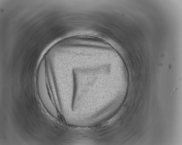 X0000083640912200703121716