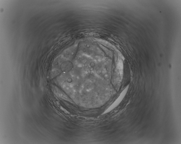 X0000083640913200703121715